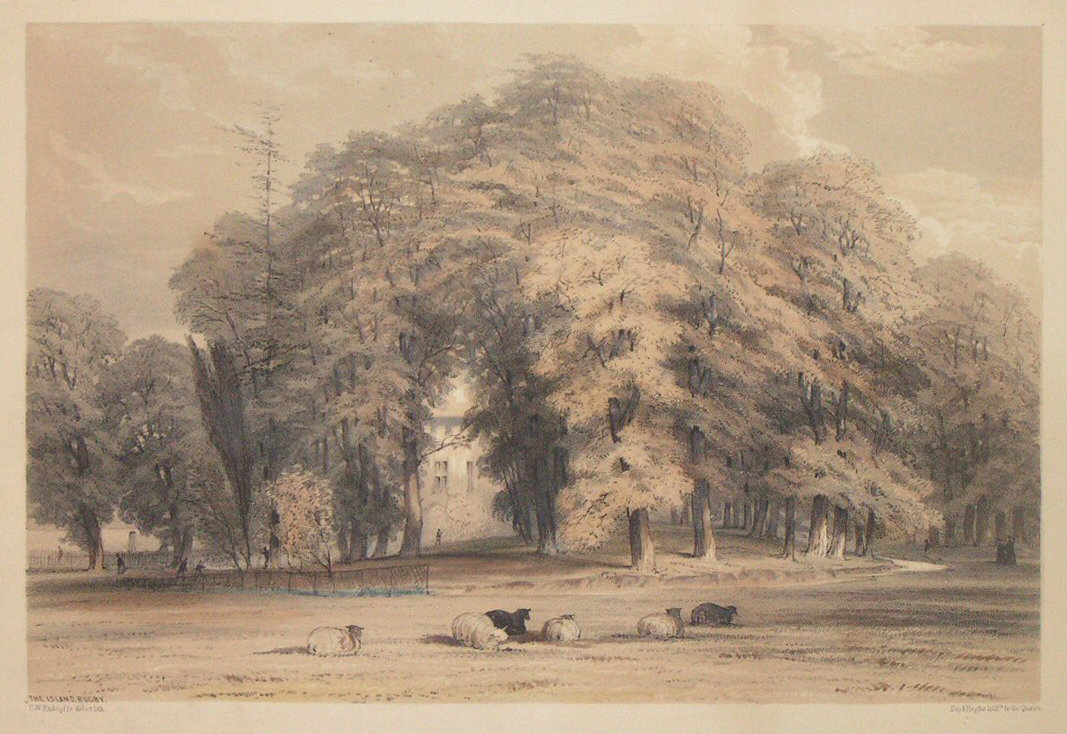 Lithograph - The Island, Rugby - Radclyffe